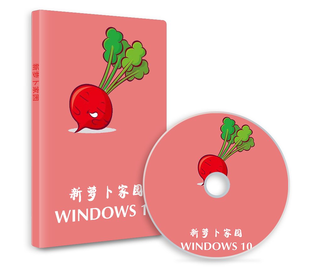 新萝卜家园Windows10专业版64位系统2021.12